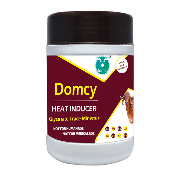 Heat Inducer Abhijeet Online Network Private Limited